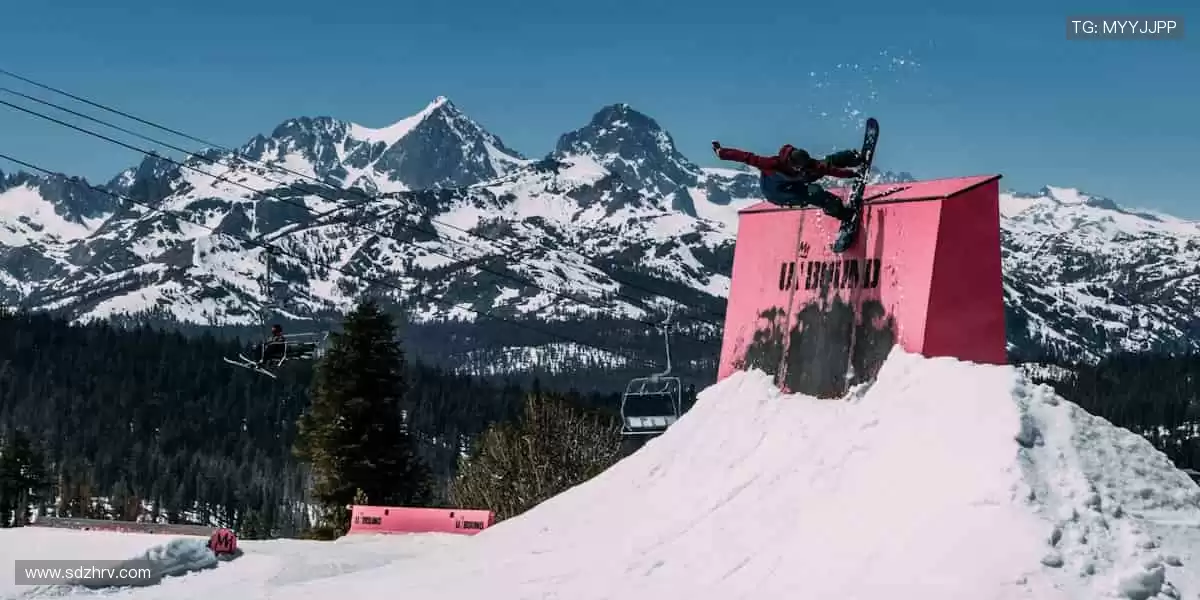 📱🎥 实时追踪,高清无死角!